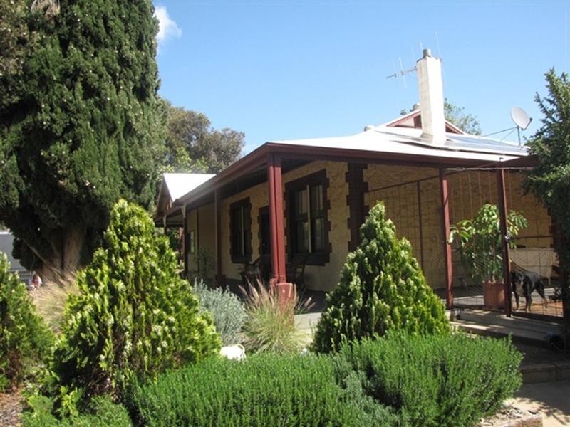 22 Thelma Road, Barmera SA 5345