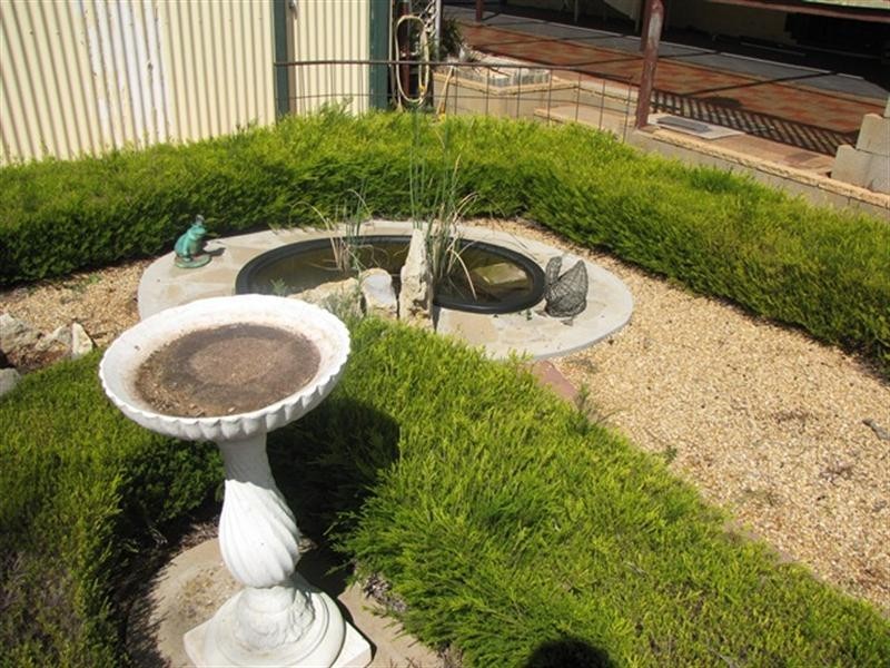 22 Thelma Road, Barmera SA 5345