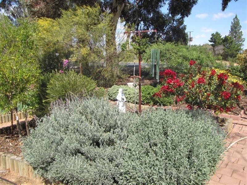 22 Thelma Road, Barmera SA 5345