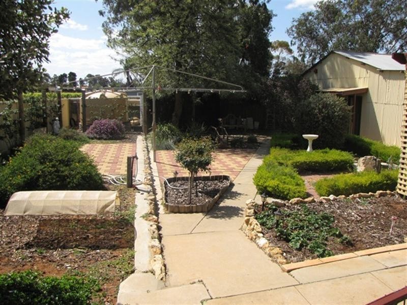 22 Thelma Road, Barmera SA 5345