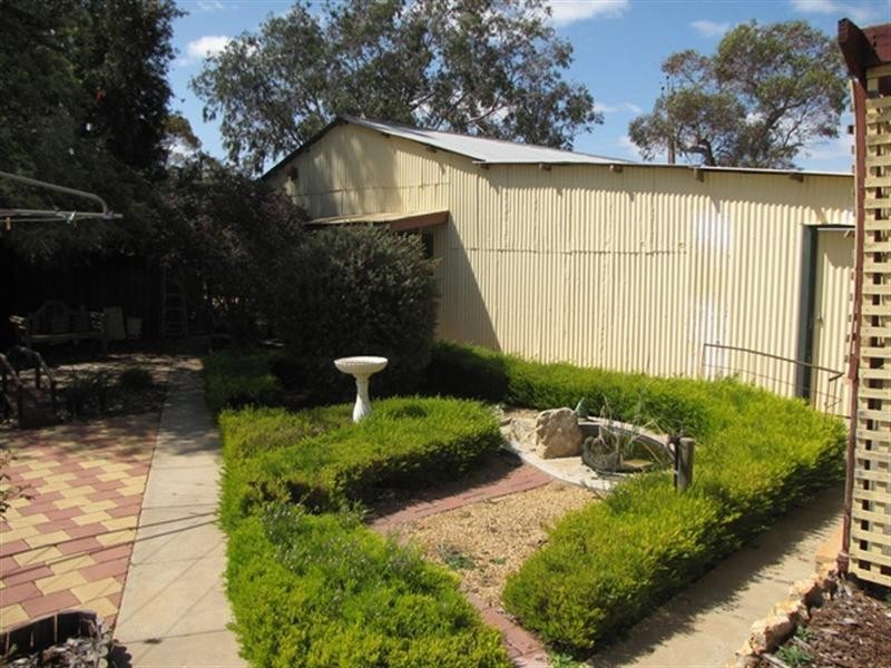 22 Thelma Road, Barmera SA 5345