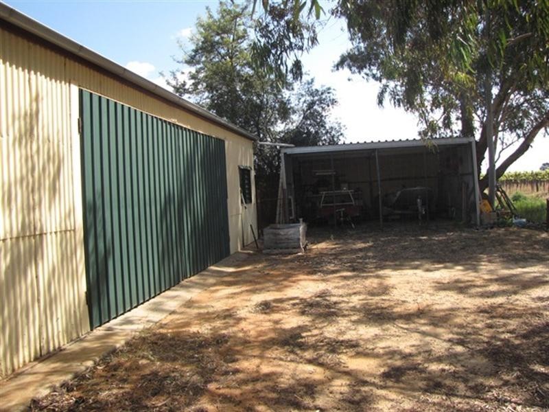 22 Thelma Road, Barmera SA 5345