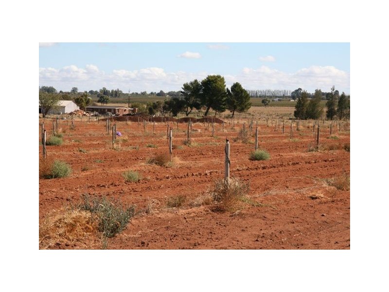 Lot 4 Chowne Road, Loxton North SA 5333