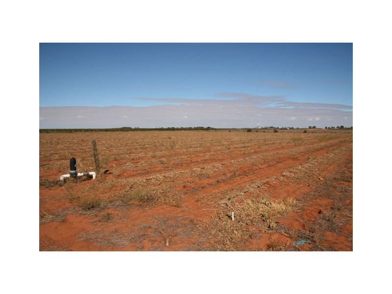 Lot 4 Chowne Road, Loxton North SA 5333