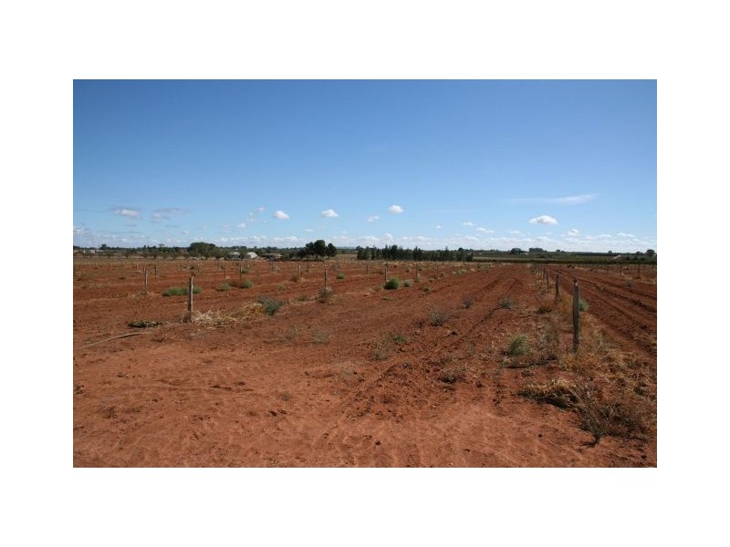 Lot 4 Chowne Road, Loxton North SA 5333