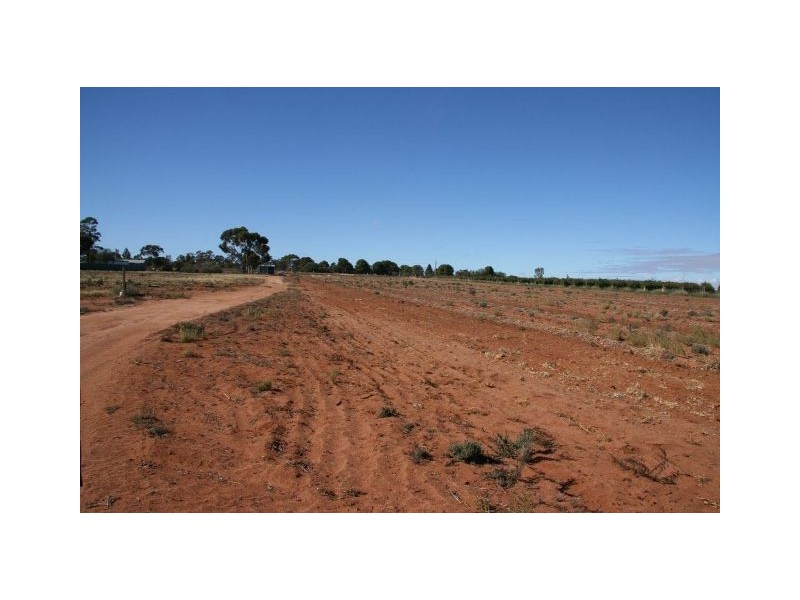 Lot 4 Chowne Road, Loxton North SA 5333