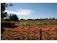 Lot 4 Chowne Road, Loxton North SA 5333