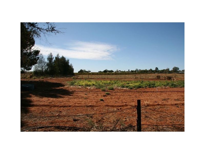 Lot 4 Chowne Road, Loxton North SA 5333