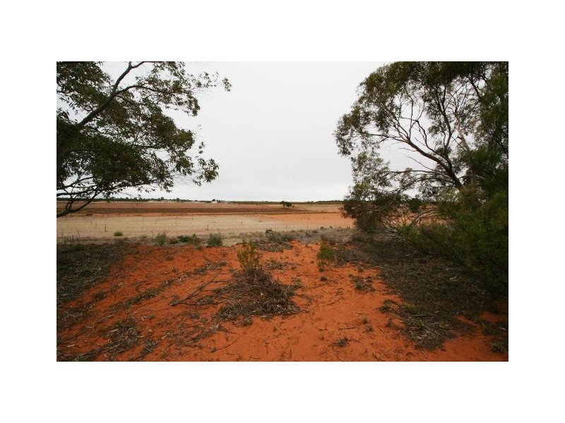 Lot 7 Gratwick Road, Loxton North SA 5333