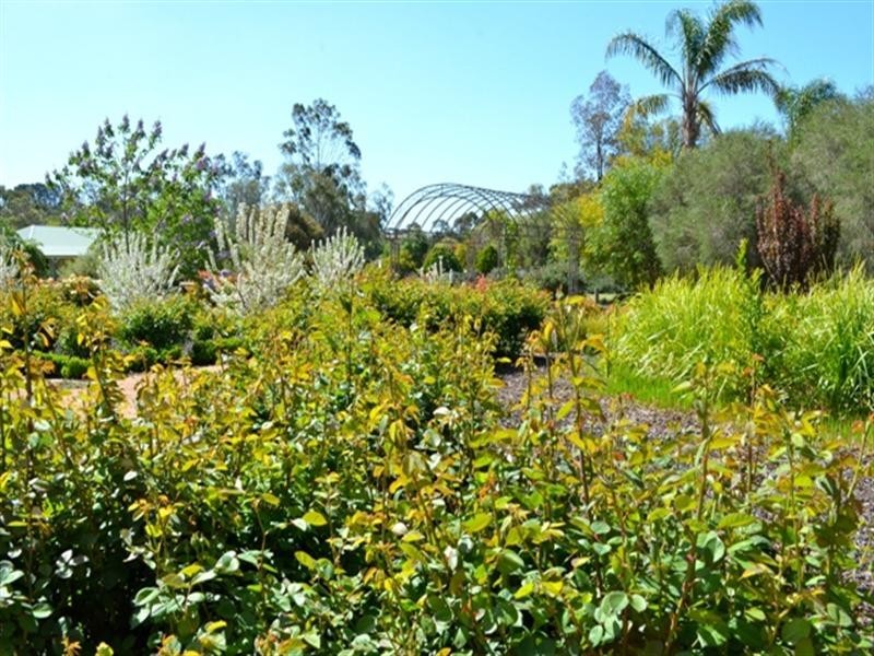 9 Kondoprias Court, Berri SA 5343