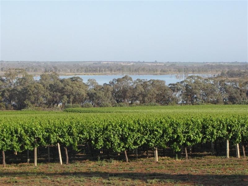 Sec 383 Thiele Road, Loveday SA 5345