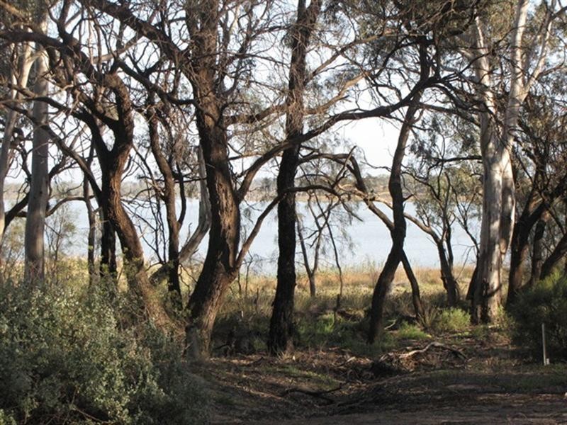 Sec 383 Thiele Road, Loveday SA 5345