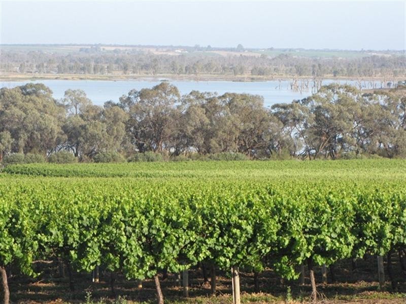 Sec 383 Thiele Road, Loveday SA 5345