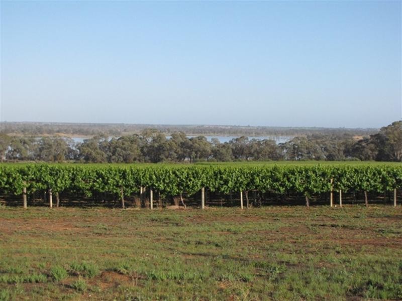 Sec 383 Thiele Road, Loveday SA 5345