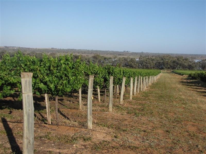 Sec 383 Thiele Road, Loveday SA 5345