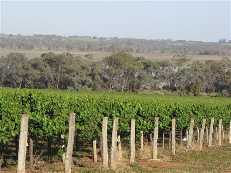 Sec 383 Thiele Road, Loveday SA 5345