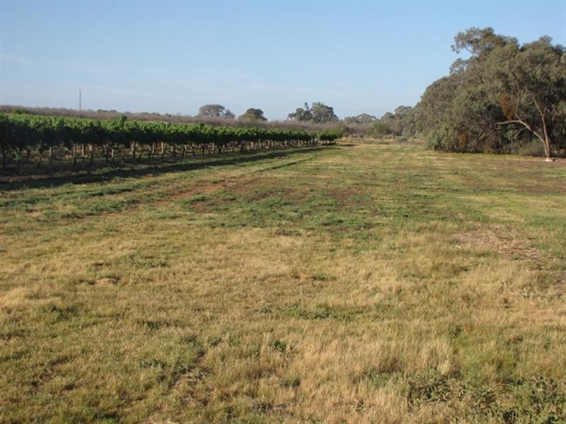 Sec 383 Thiele Road, Loveday SA 5345