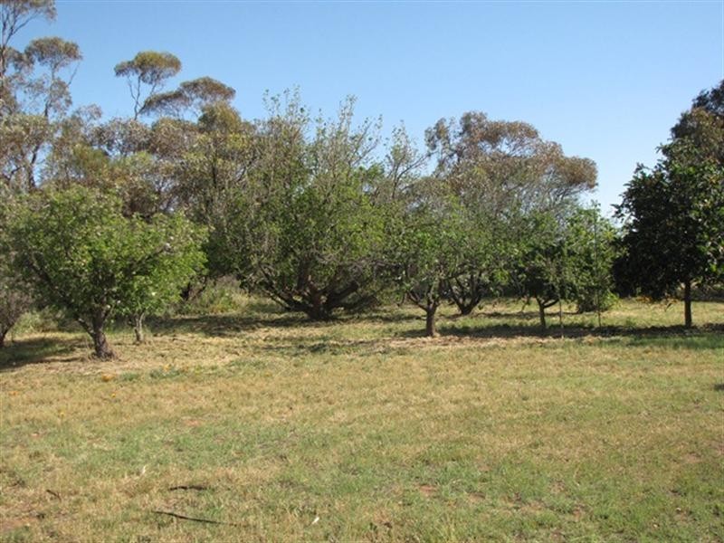 165 Dalziel Road, Winkie SA 5343