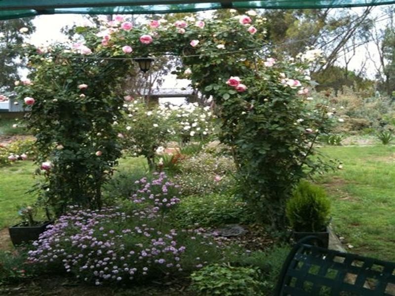 16 Nicol Avenue, Waikerie SA 5330