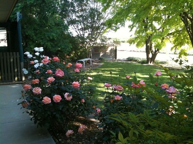 16 Nicol Avenue, Waikerie SA 5330