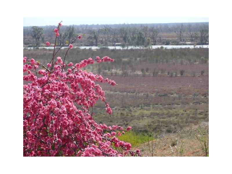 58 Wheatley Road, Loxton SA 5333