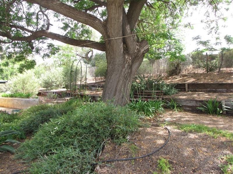 40 Fuller Road, Berri SA 5343