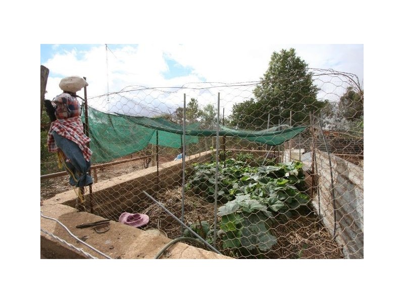 Lts 70and93 Wolseley Street, Taplan SA 5333