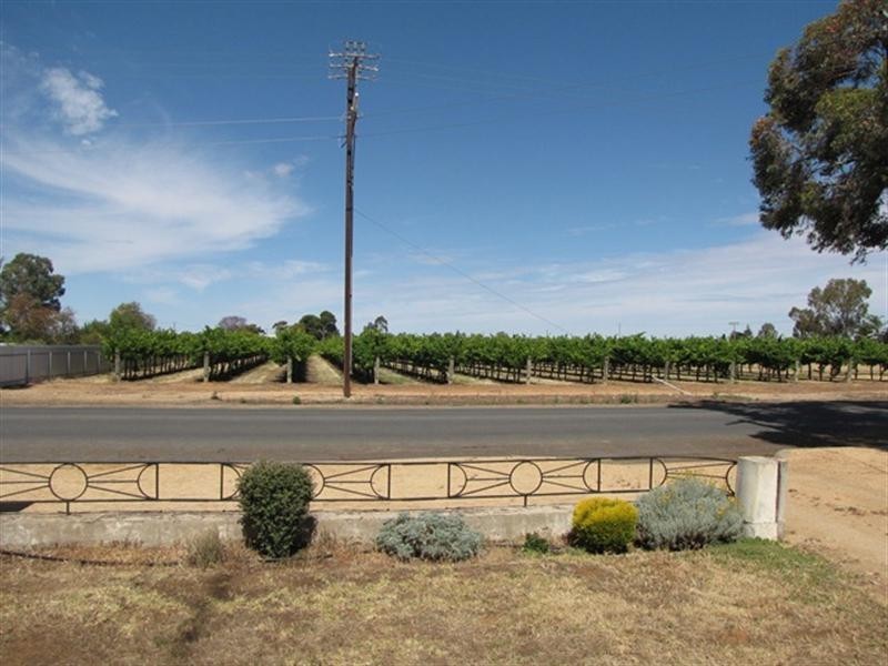 13 Drogemuller Road, Cobdogla SA 5346