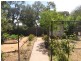 13 Drogemuller Road, Cobdogla SA 5346