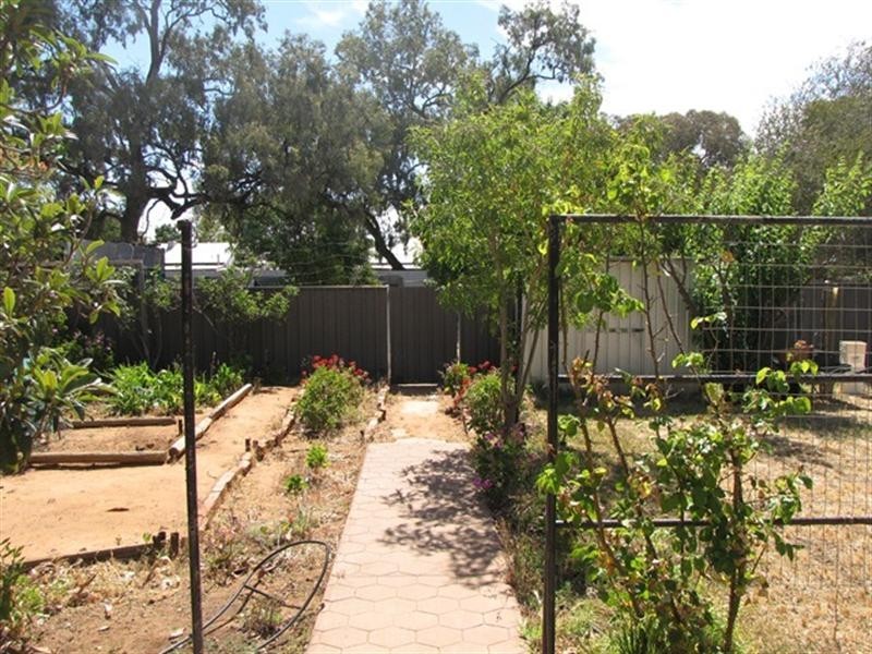 13 Drogemuller Road, Cobdogla SA 5346