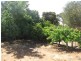 13 Drogemuller Road, Cobdogla SA 5346