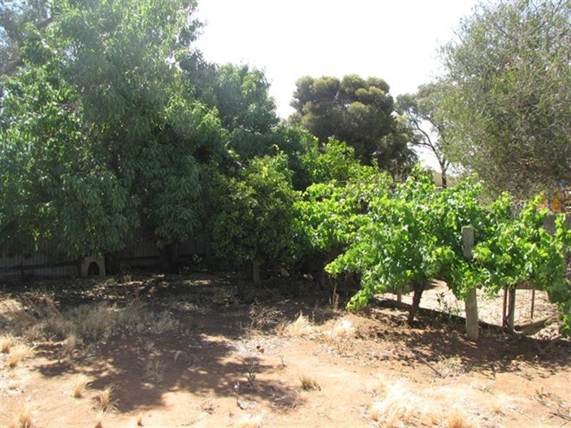 13 Drogemuller Road, Cobdogla SA 5346