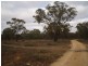 Lot 278 Morphett Flat, Morgan SA 5320
