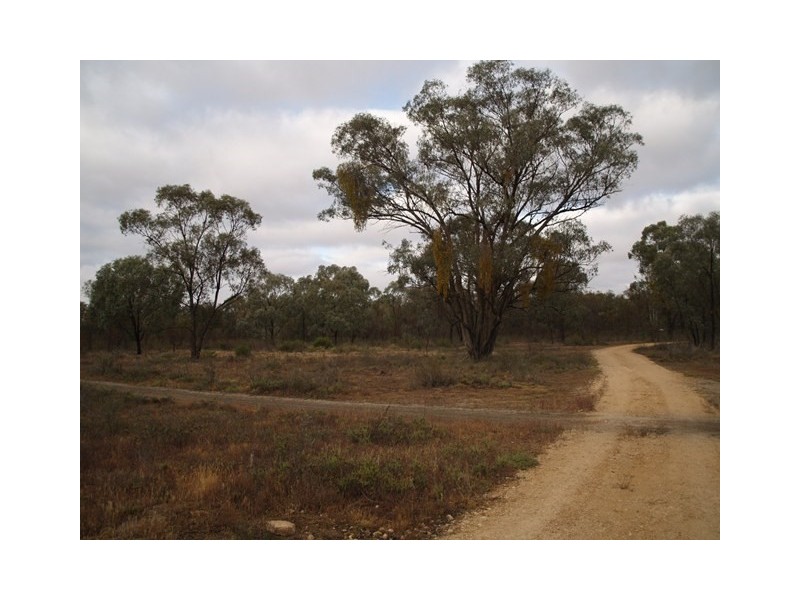 Lot 278 Morphett Flat, Morgan SA 5320