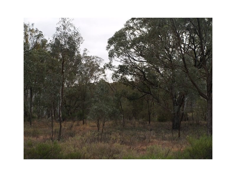 Lot 278 Morphett Flat, Morgan SA 5320