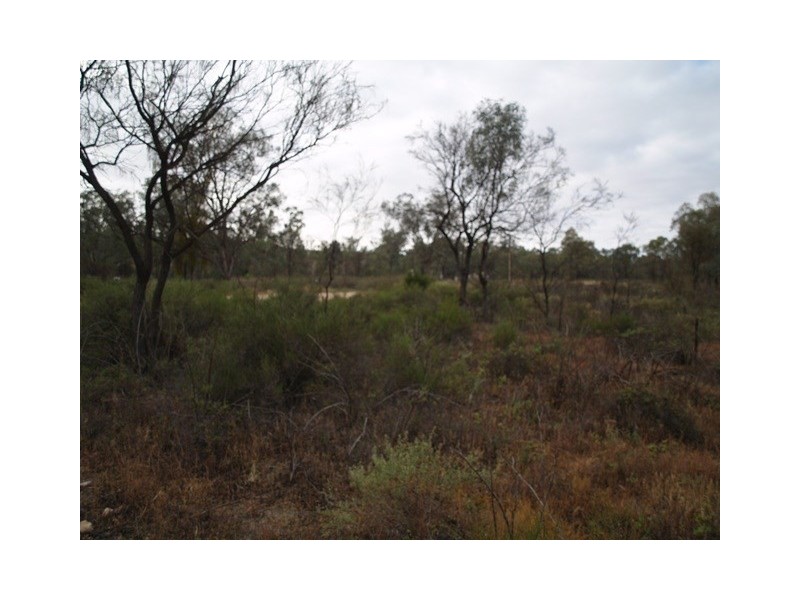 Lot 278 Morphett Flat, Morgan SA 5320
