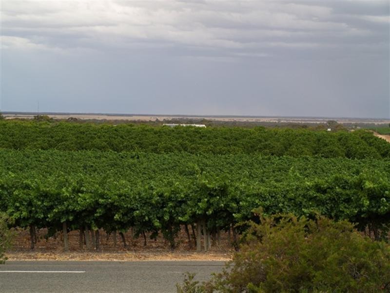 262 Perry Road, Waikerie SA 5330