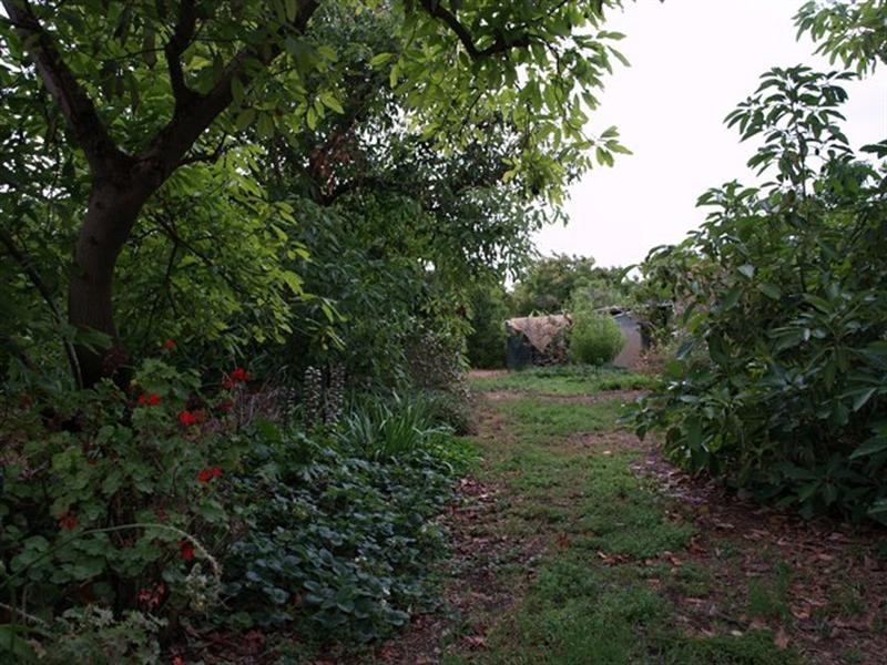 262 Perry Road, Waikerie SA 5330