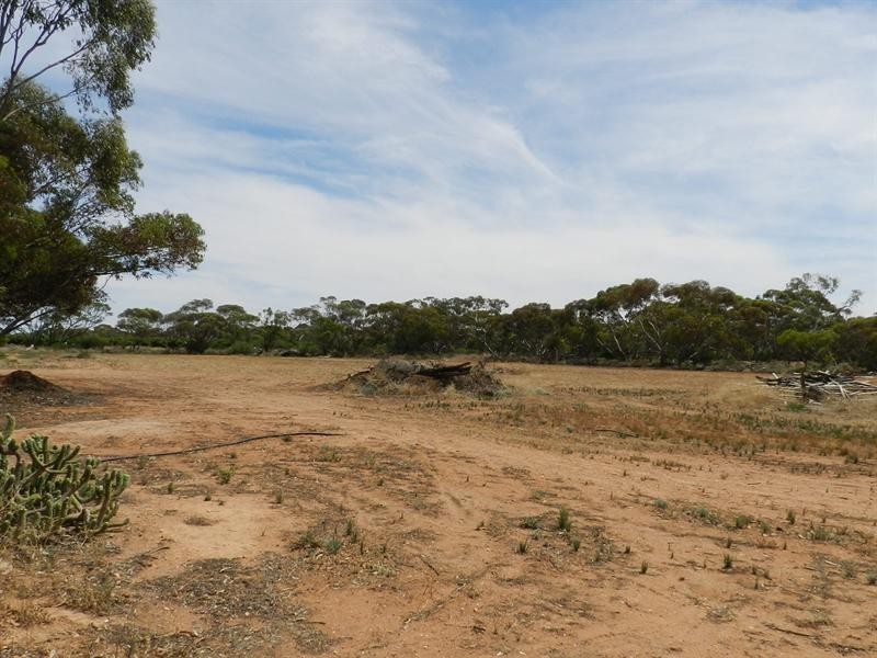 90 Gran Road, Winkie SA 5343