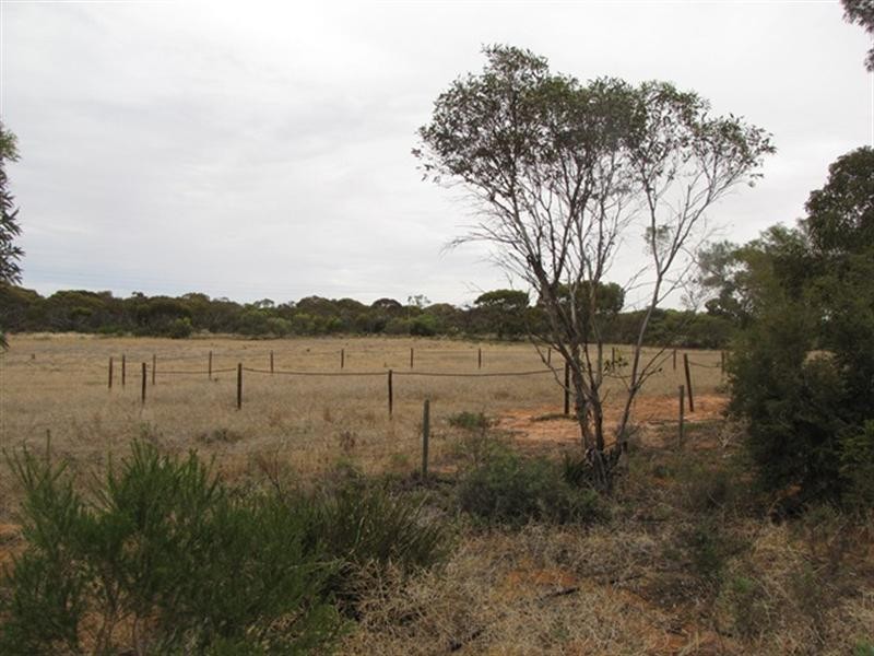 90 Hunt Road, Barmera SA 5345