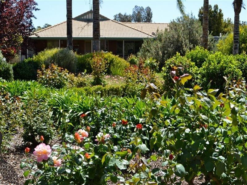 9 Kondoprias Court, Berri SA 5343