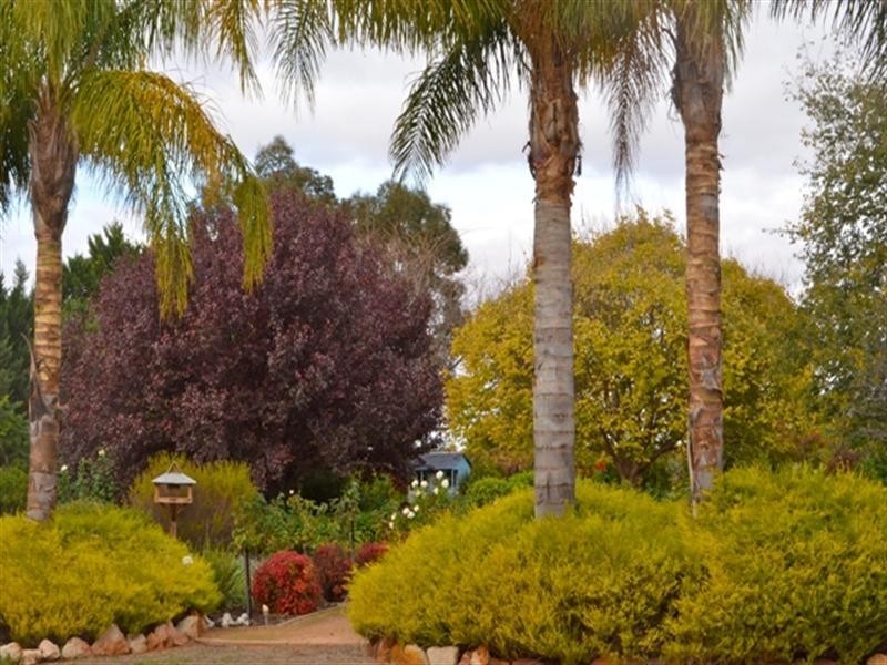 9 Kondoprias Court, Berri SA 5343