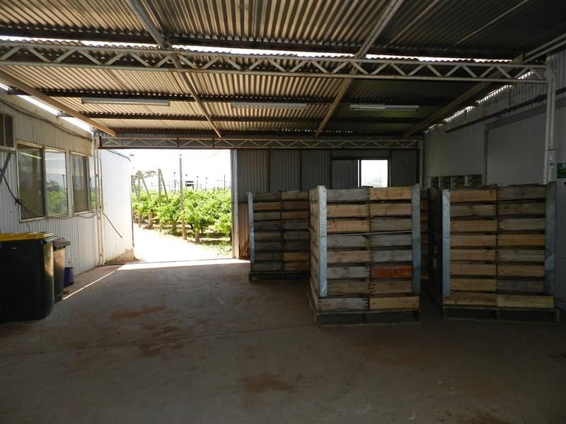 42 Gaskell Road, Barmera SA 5345