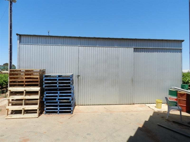 42 Gaskell Road, Barmera SA 5345