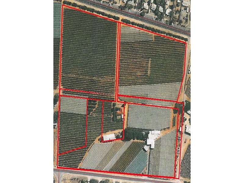 42 Gaskell Road, Barmera SA 5345