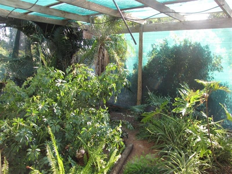 13 Streeter Avenue, Glossop SA 5344