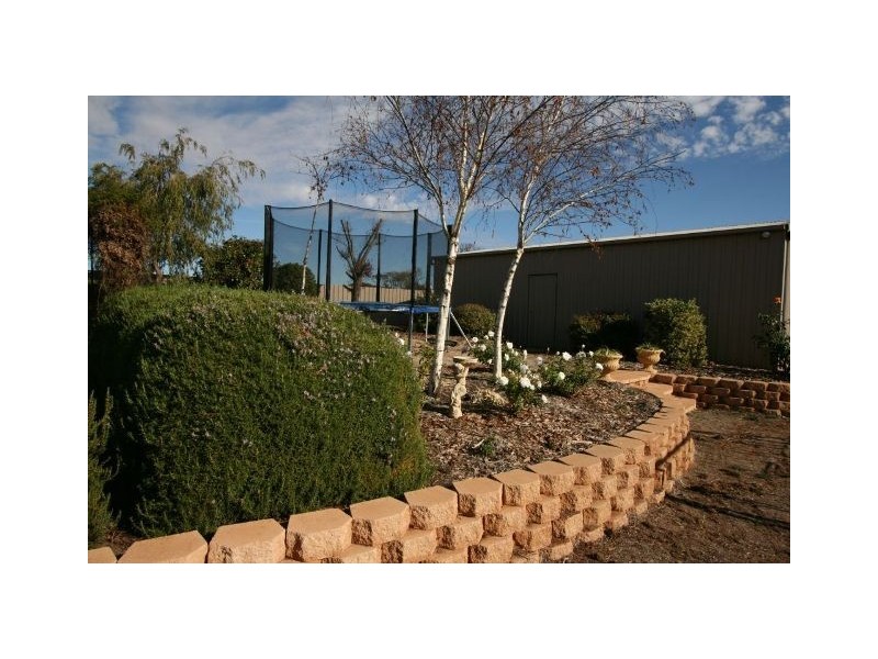 36 Fifth Street, Loxton SA 5333