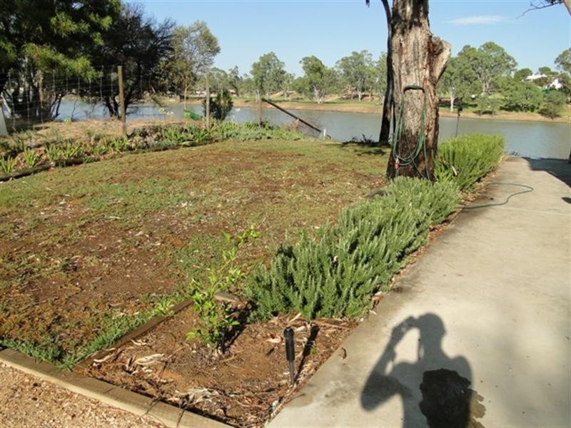 Lot 37 North West Bend, Morgan SA 5320