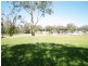 Lot 27 Barker Road, Morgan SA 5320