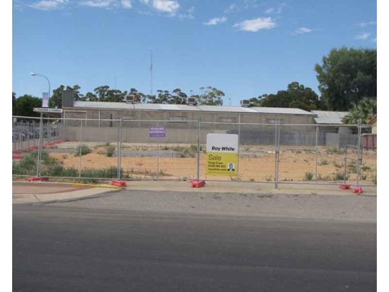 44 Barwell Avenue, Barmera SA 5345